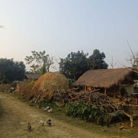 जुम्ला खण्डमा भ्यान दुर्घटना, १० जना घाइते