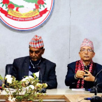 धादिङमा बस दुर्घटना : १७ को मृत्यु, २८ घाइते (नामावलीसहित)