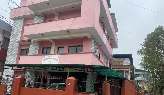 धादिङमा बस दुर्घटना : १७ को मृत्यु, २८ घाइते (नामावलीसहित)