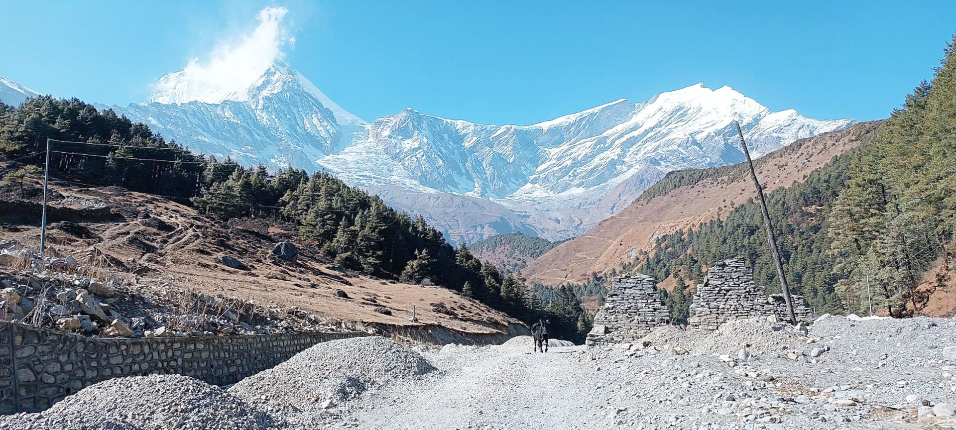 धौलागिरि हिमाल
