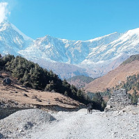 कीर्तिपुरको गाइजात्रा ध्यँध्यँ पापा