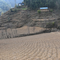 नेपाल र चीनबिच प्रविधि विकासमा ठुलो सम्भावना छ