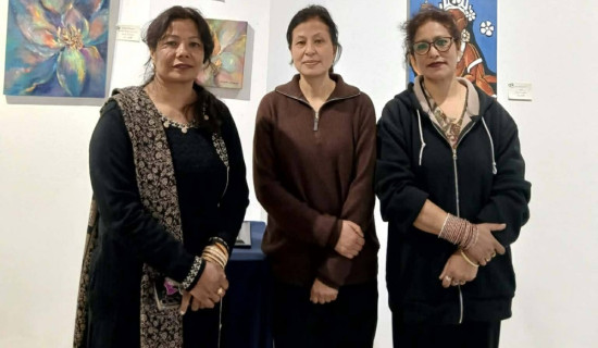 चिसो बढेपछि सिरक डस्नाको कारोबार बढ्यो