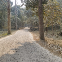 बुटवललाई आर्थिक राजधानी बनाउने प्रतिबद्धता