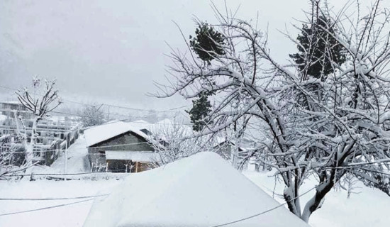 बुटवललाई आर्थिक राजधानी बनाउने प्रतिबद्धता