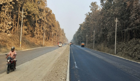 बहुगुणी वानस्पातिक उपयोग