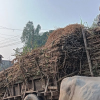 सप्तरीको अति संवेदनशील मतदान केन्द्रमा कडा सुरक्षा