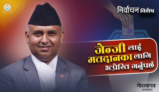 हरेक चुनावमा दोहोरिने मुद्दा : निकुञ्ज ऐन संशोधनको बहस