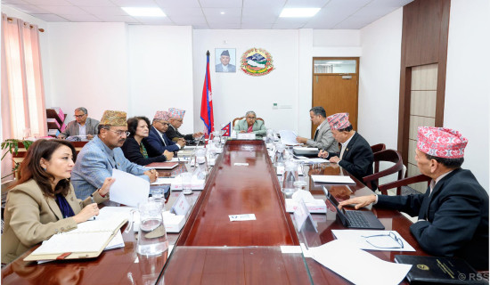 कैलाली – ३ मा तीन दलका उम्मेदवारबीच मुख्य प्रतिस्पर्धा