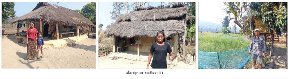 बाँदरझुलामा झुल्किएन उज्यालो