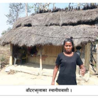 भक्तपुर–१ मा नेमकिपालाई चुनौती