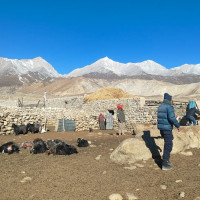 राष्ट्रपति रनिङ शिल्डमा १७ स्वर्णसहित मैवाखोलाको अग्रता