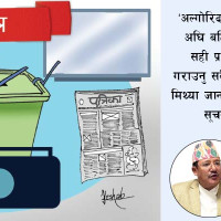 सङ्घर्षबिनाको सफलता