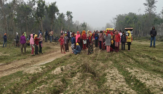 बिमा दाबी हालसम्मकै उच्च हुने