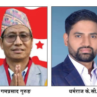 अमेरिकामा नेपालीद्वारा पारिवारिक हत्या, ज्वाइँ घाइते