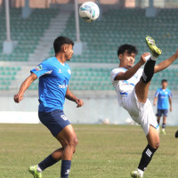 विश्वम्भरको जर्बुटा कला अद्वितीय