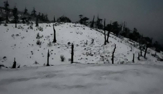 पाँचथरको सीमावर्ती क्षेत्रमा हिमपात: पर्यटकीय स्थल र बीओपी हिउँले ढाकिए