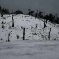 मतदान सामग्री पठाइयो