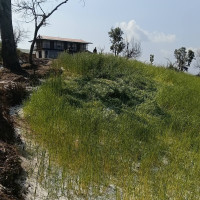 वैशाख ३० गते देशभर आंशिकदेखि सामान्य बदली