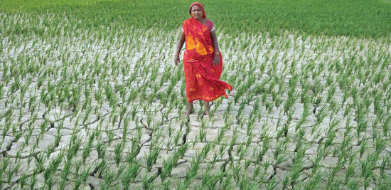 जल सङ्कटमा समग्र मधेश