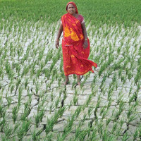 अपाङ्गता भएकालाई सास्ती