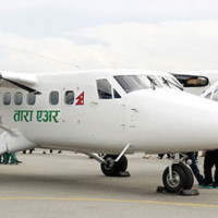 बङ्गुरपालनमा रमाउँदै युवा