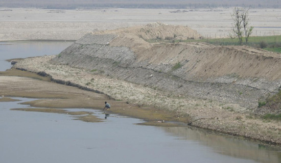 उपभोक्ता अदालतले पायो नेतृत्व