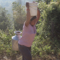 भन्सार नाका निगरानीका लागि परिपत्र