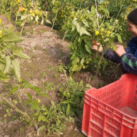 पर्यटनबाट अर्थतन्त्र उकास्ने वाचा