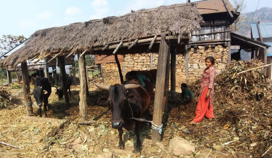 आजको राशिफल