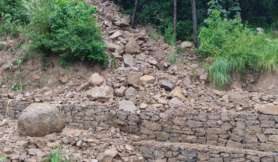 चुनावी एजेन्डा : ज्योतिनगर पहिरो नियन्त्रण