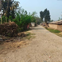 गुल्मीदरवार गाउँपालिका अध्यक्षमा कांग्रेसका थापा निर्वाचित