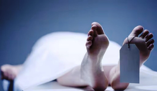 खैबर पख्तुनख्वामा दुई दिनमा २० जनाको ज्यान गयो