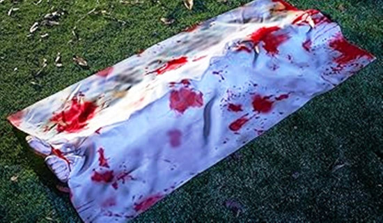 उत्तर-पूर्वी नाइजेरियामा भएको आक्रमणमा २५ जनाको मृत्यु