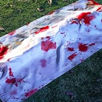 हमलाबिच जेनेभामा वार्ता