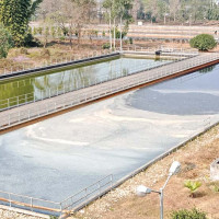 डिमेन्सियाका बिरामी थपिँदा स्वास्थ्य क्षेत्रमा चुनौती बढ्दो