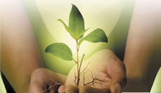 सरकारको नीति तथा कार्यक्रम : समग्रमा सकारात्मक