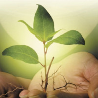 गोरखापत्र र त्रिवि केन्द्रीय पुस्तकालयबीच सम्झौता