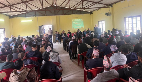 उम्मेदवारीमा ४०–४९ उमेरकै वर्चस्व