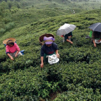 निर्वाचनमा हाम्रो दायित्व