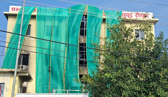 दलका जिल्ला अध्यक्ष पराजित