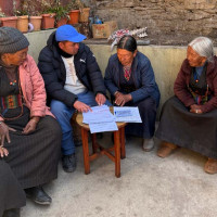 दलका जिल्ला अध्यक्ष पराजित