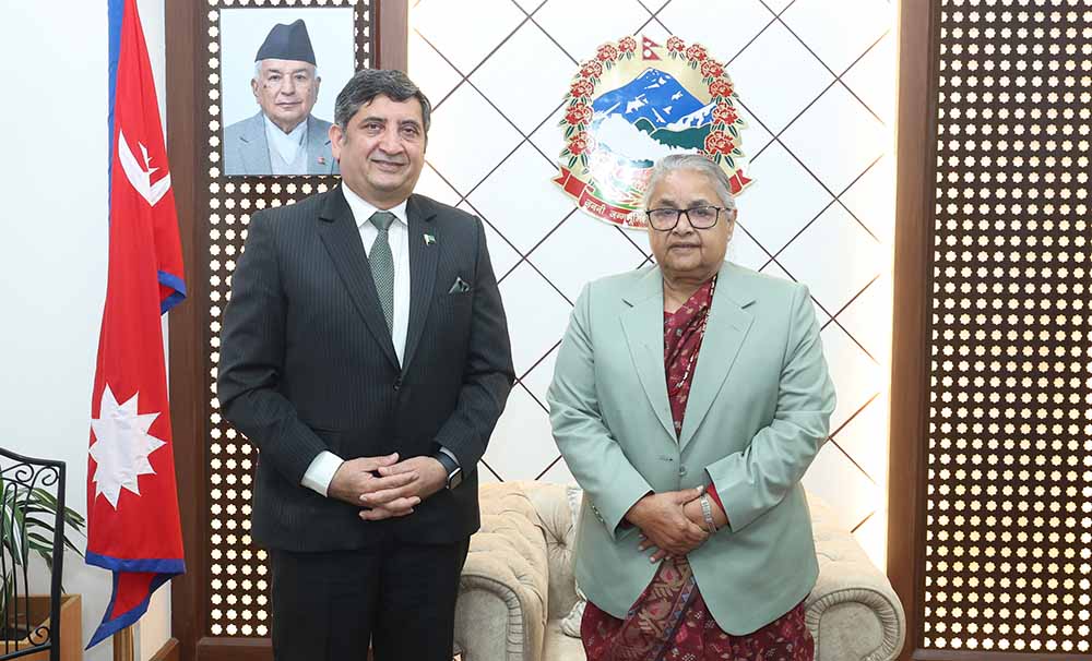 प्रधानमन्त्री कार्की र पाकिस्तानी राजदूतबीच भेटवार्ता: द्विपक्षीय हितका विषयमा छलफल