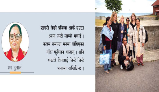 समयले सुमसुम्याएका डायरीका पाना