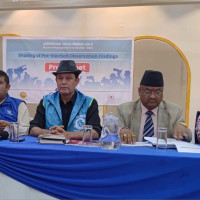 कुकुरलाई सङ्गिनी सुई