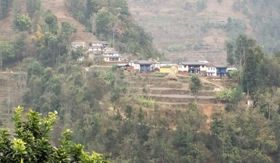 किसानलाई समयमै मल र युवालाई स्वदेशमै रोजगारी दिने कांग्रेसको सङ्कल्प