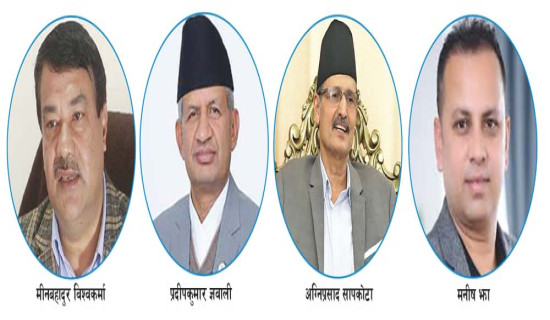 दलका घोषणापत्रमा पूर्वाधार, महत्वाकाङ्क्षा कार्यान्वयनमा समस्या