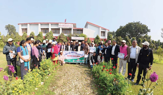 मन्दिर एक, स्वरूप अनेक