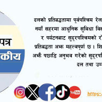 दलका घोषणापत्रमा पूर्वाधार, महत्वाकाङ्क्षा कार्यान्वयनमा समस्या