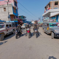 गहुँको नयाँ छ जात विकास